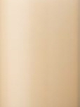 Champagner