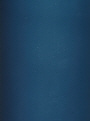 Petrol