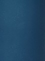 Petrol