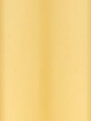 Champagner